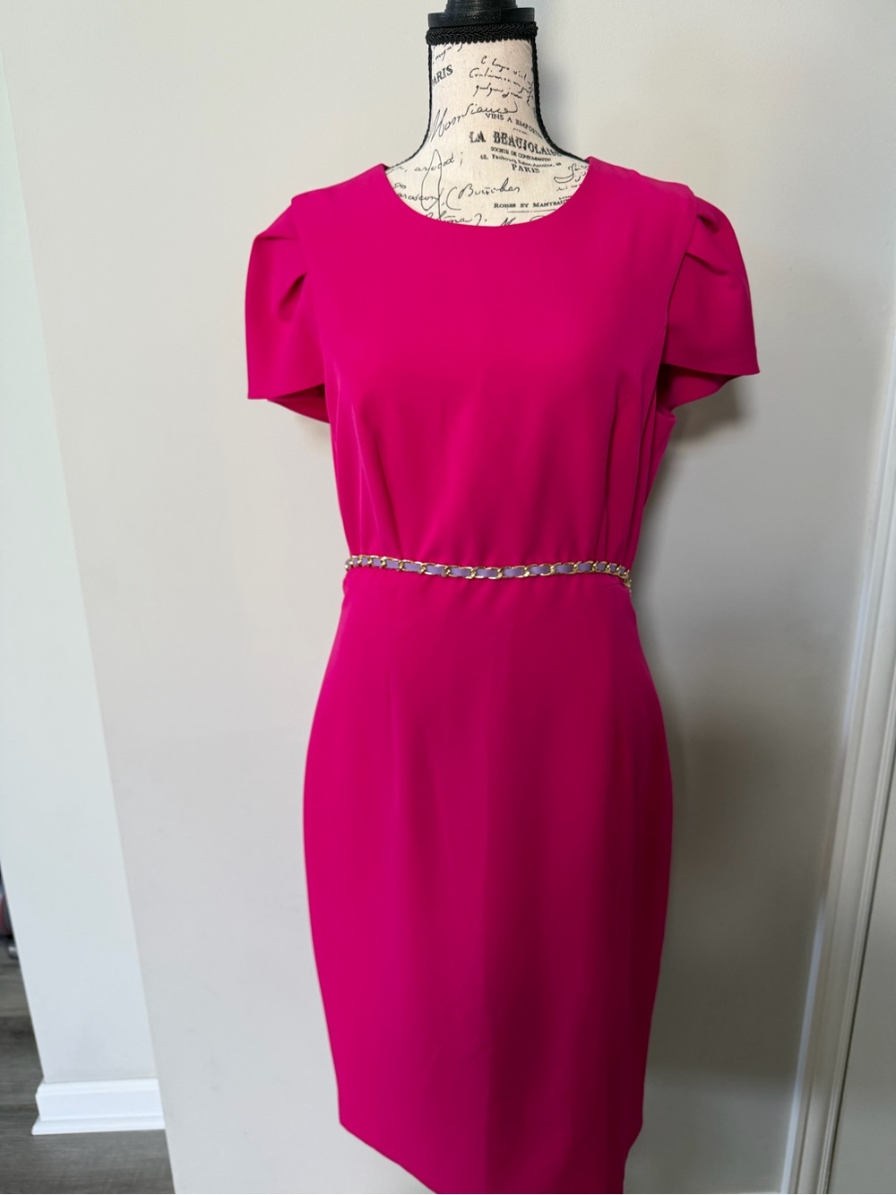 Alex Marie Fuchsia Short Sleeve Sheath Dress size 6